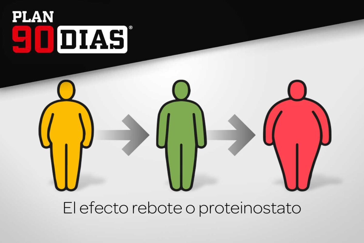 Plan 90 días
