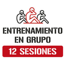 Entrenamiento en grupo 12 sesiones